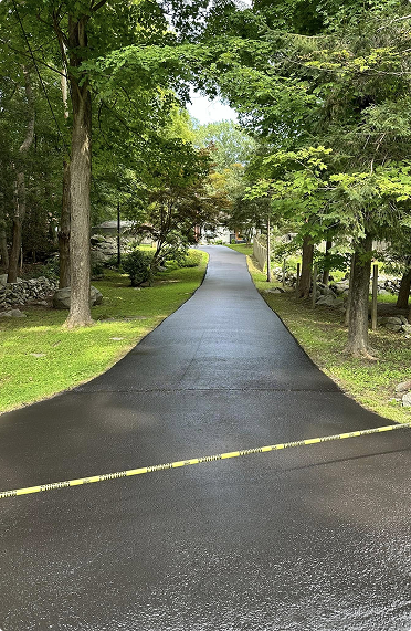 strip-road-in-between-trees